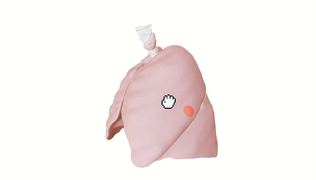 Medical simulation preview